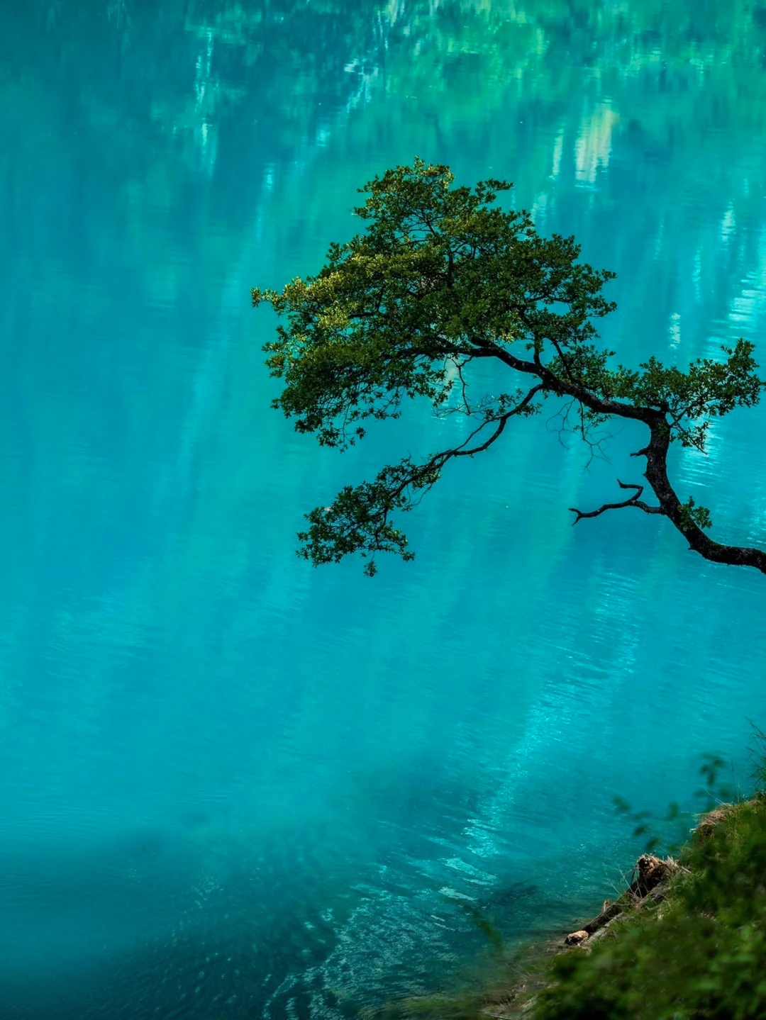 sichuan-巴巴海